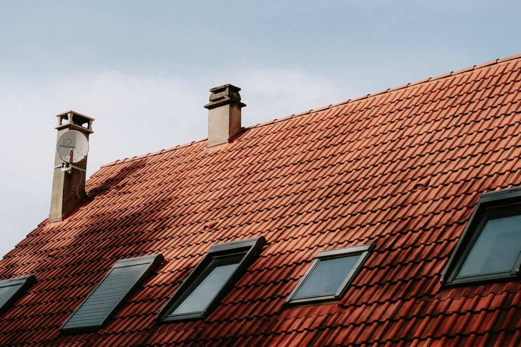 Pexels Mathias Reding 11912130